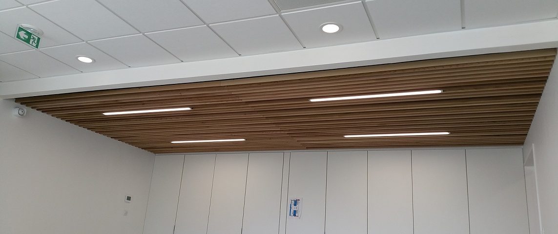  Plafond  mixte Bois  plaque de pl tre  Plaquistes 44